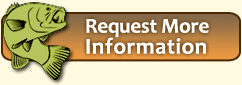 Request More Information